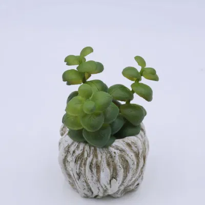 Plantas artificiales pequeñas Succulentes plantas artificiales falsas Succulentes con pote