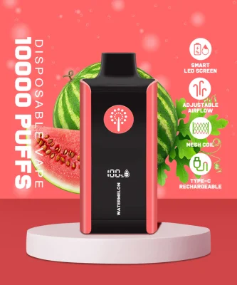 Canadá Zbood Ab3000 F2500 Láquido filtración de la Bosa Venus E Cigarete Zbood Digital Box 10000 Puff VAPE