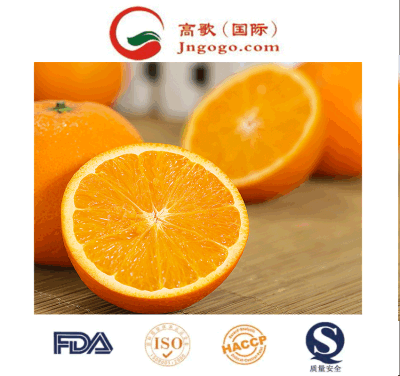 Juicy y Zesty Navel naranjas: Importado de China