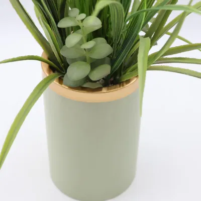 Plantas artificiales artificiales blandas de pequeños Succulents con especial Olla