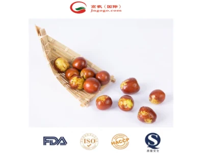 Cosecha Premium de Jujube de invierno de China
