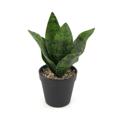Artificial Uland Serpiente suculentas las plantas en macetas para oficina