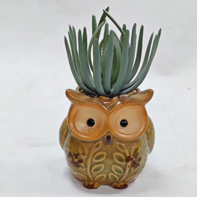 Falso verde mini plantas suculentas de la tabla la decoración de plantas suculentas Artificial