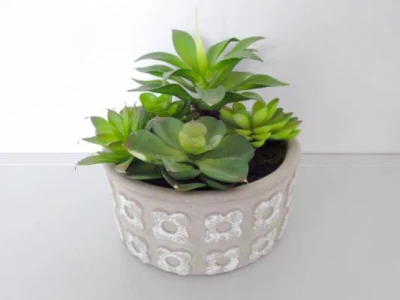 Bonsai pequeño de la gallina Succulents planta Artificial plantas Potted