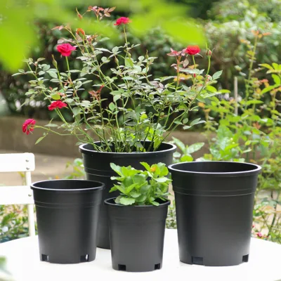 Alta calidad de 0,7 galones de plástico verde maceta para interiores o exteriores plantar
