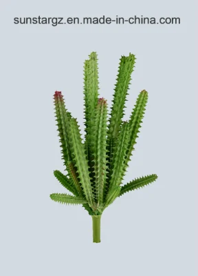 PE Cactus Plantas artificiales para la decoración del hogar con SGS Certificado (50239)