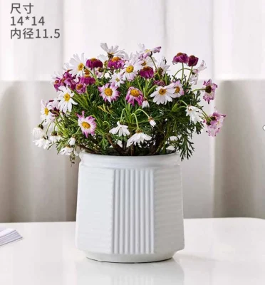 Ollas de suculentas, 2,7 pulgadas de cerámica Pequeñas macetas para plantas de cactus, lindo Mini sembradoras de suculentas para Office Hogar, en el interior macetas con drenaje