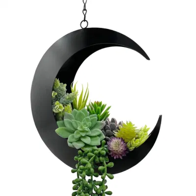 Plantadora de Luna Suculente para plantas Interiores