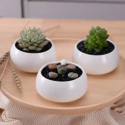 Pote pequeño redondo de cerámica con bandeja de bambú para decoración de habitación Ci21943