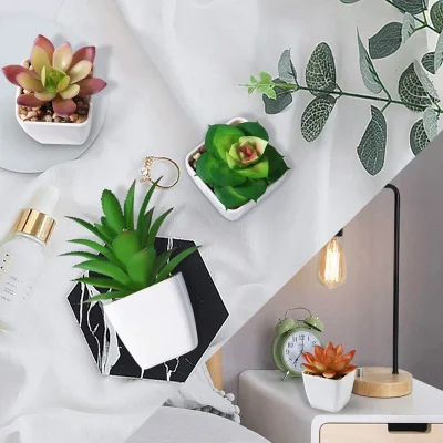 Las plantas suculentas artificiales, el conjunto de 4 pequeñas plantas falsas Mini macetas con plantas suculentas con ollas de cerámica blanca