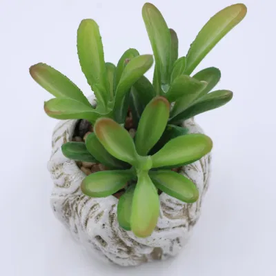 Nueva llegada Succulents artificiales planta Plástica planta Succulente Jardín Interior Decoración