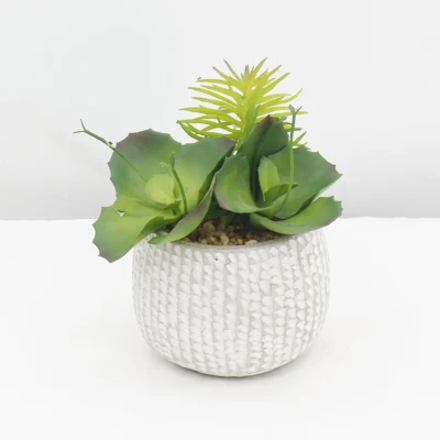 Suculentas artificial de alta calidad de macetas con plantas suculentas Faux suculenta olla de PE