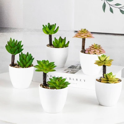 Las pequeñas plantas suculentas las plantas en maceta de plástico artificial con Set de 4