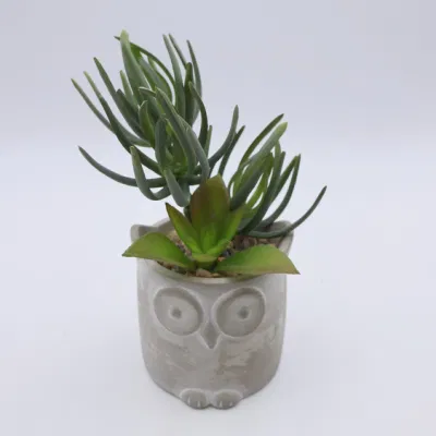 Planta Suculente Plástica Artificial planta Suculente pequeña Oficina Escritorio Ornamental Decoración