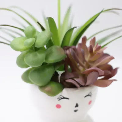 Suculento Artificial Plant Desktop Decor Artificial Plastic Potted Bonsai Succulent Plantas