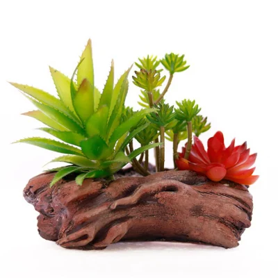 Un surtido de plantas suculentas artificial en el cemento de textura rústica olla