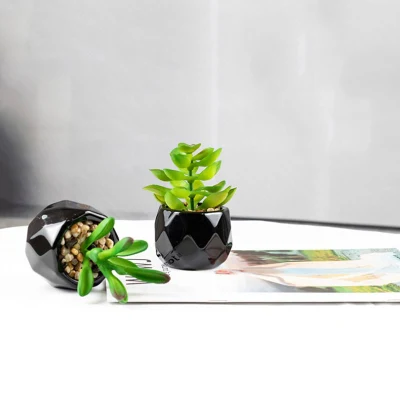 Mini plantas suculentas artificiales geométricos en color negro de la sembradora ollas de cerámica