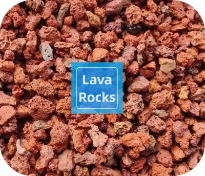 Terreno Additive Red Horticultural Lava Rock for Cacts Succulents Plants