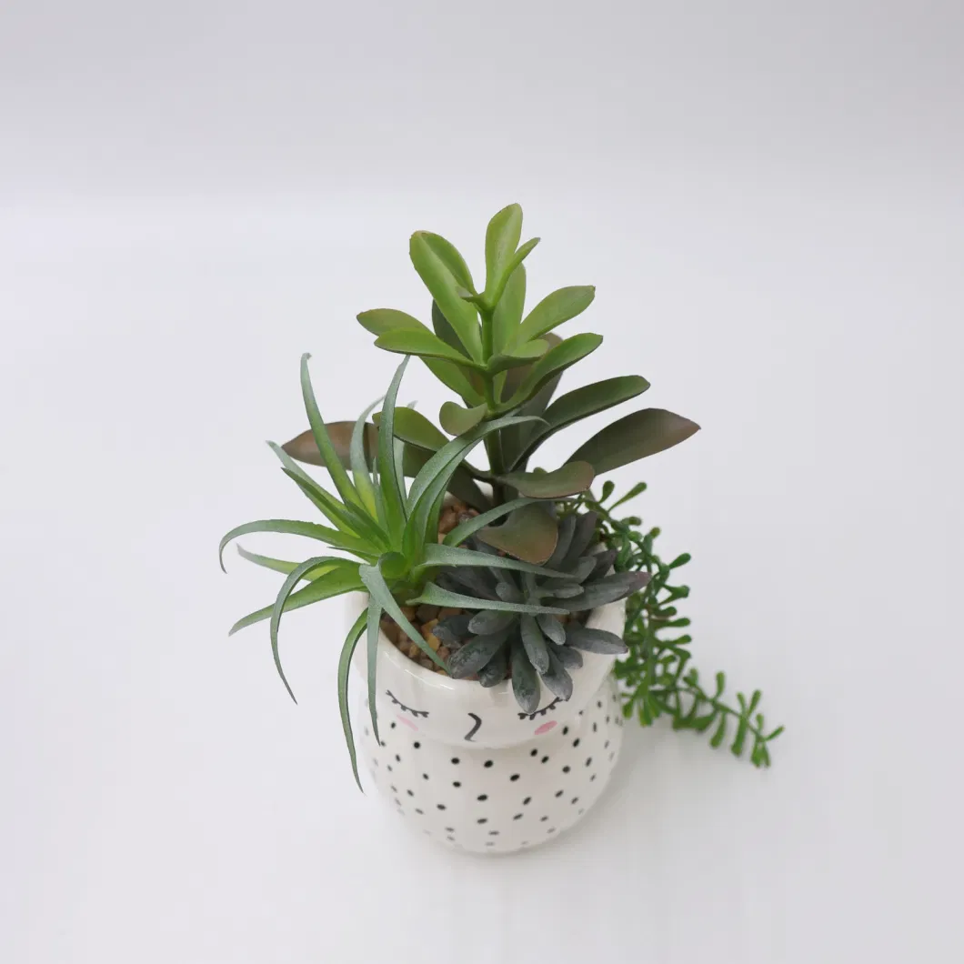 Succulent Bonsai Mini Green Indoor Faux Plants Artificial Plants for Home Decoration