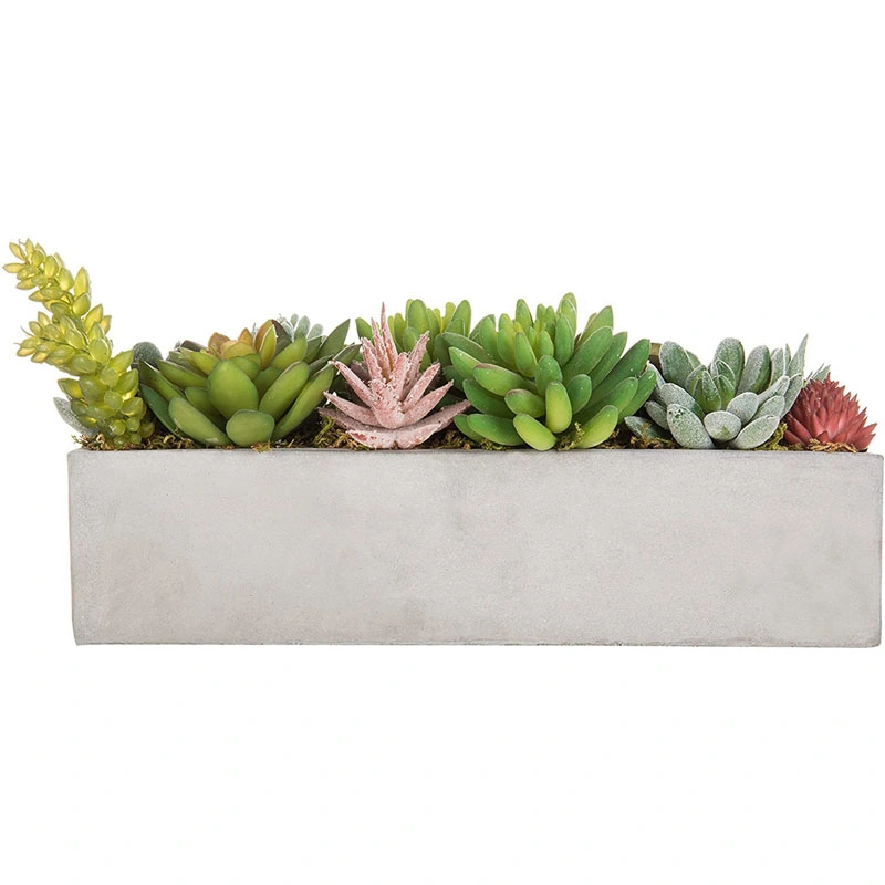 Faux Succulent Plant Arrangement in 12-Inch Gray Cement Pot