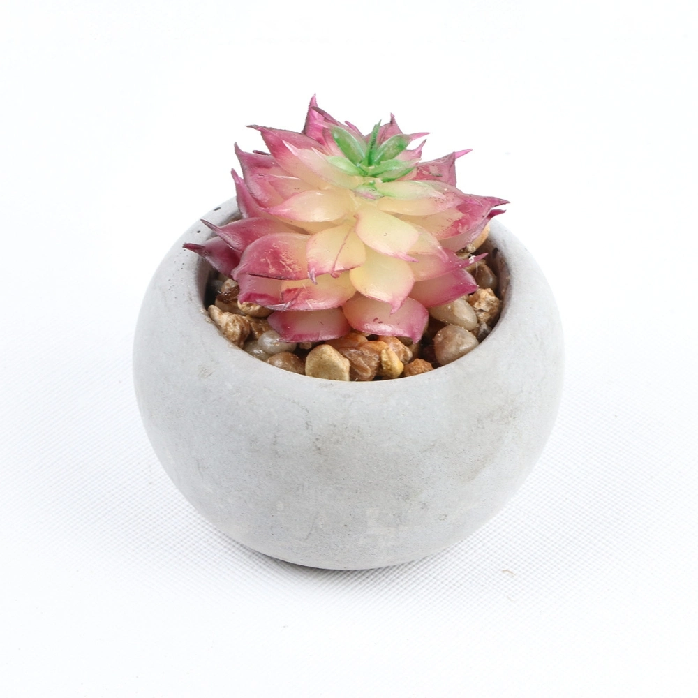 Artificial Succulent Plants in Cement Pots Realistic Faux Potted Plant Ci24797