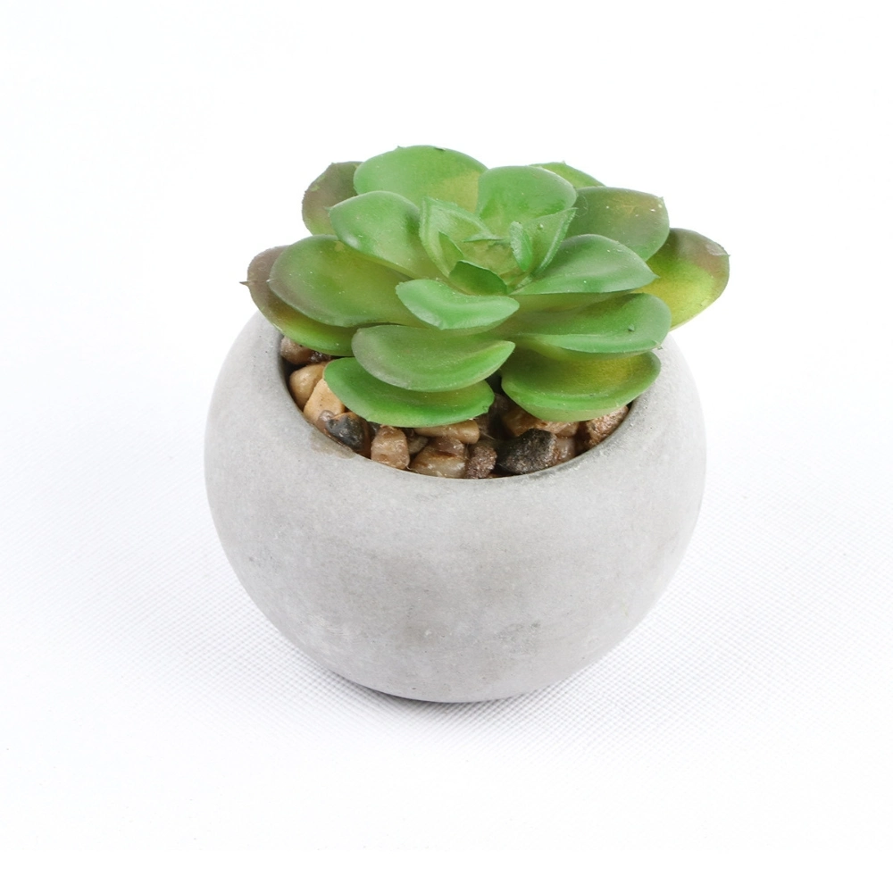 Artificial Succulent Plants in Cement Pots Realistic Faux Potted Plant Ci24797