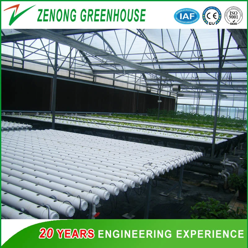 Worldwide Used Anti Fog Film Poly Greenhouse for Vegetables/Succulents Growing