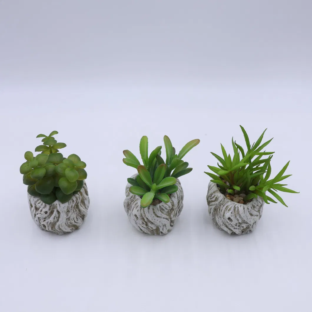 White Picket Fence Fake Succulent Plants Mini Artificial Plant Farmhouse Set