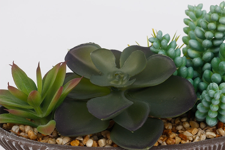 Artificial Succulent Plants in Pots Arrangement Succulents Bonsai for Home Hotel Decoration