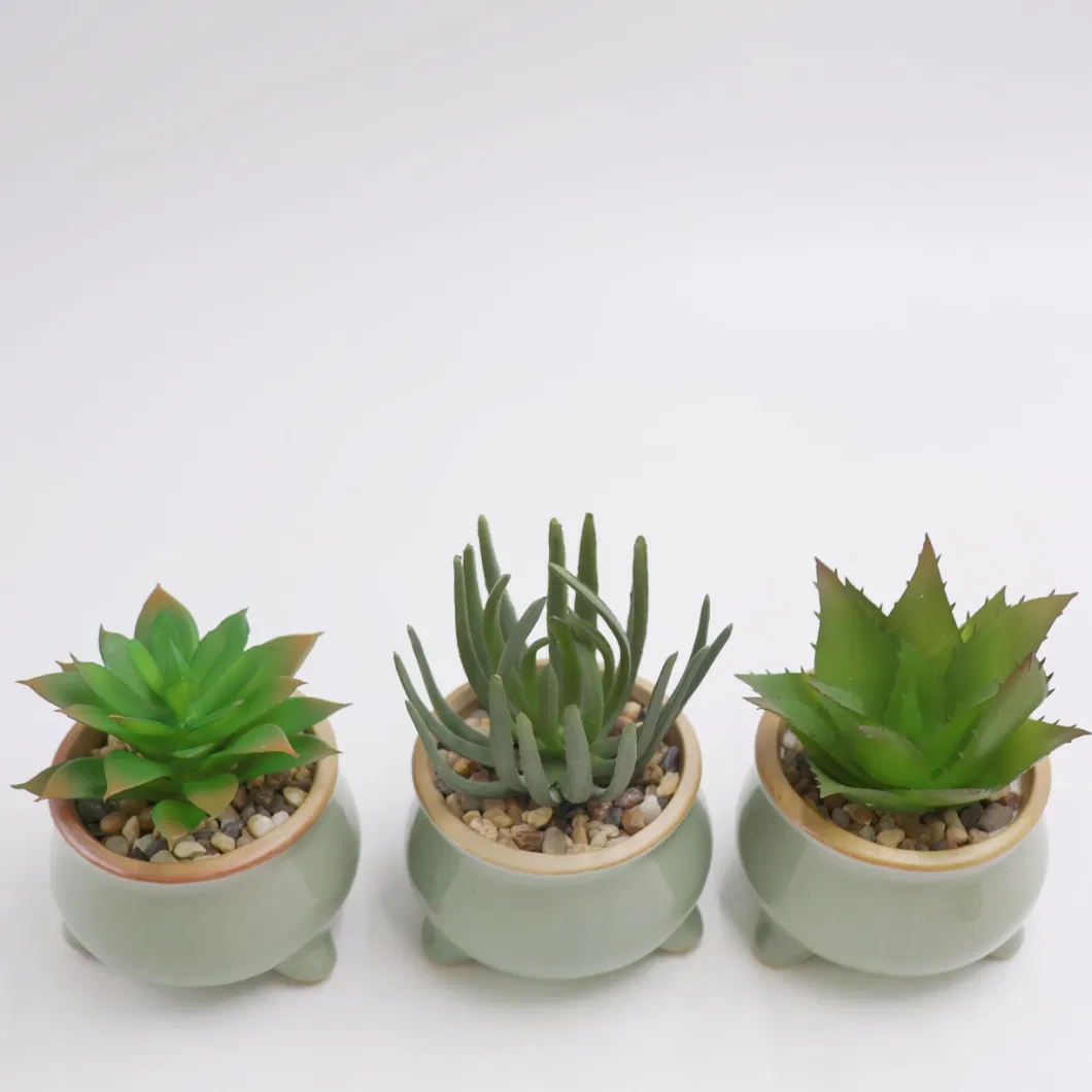 2023 New Design Artificial Plant Succulent with Ceramic Planter Pot