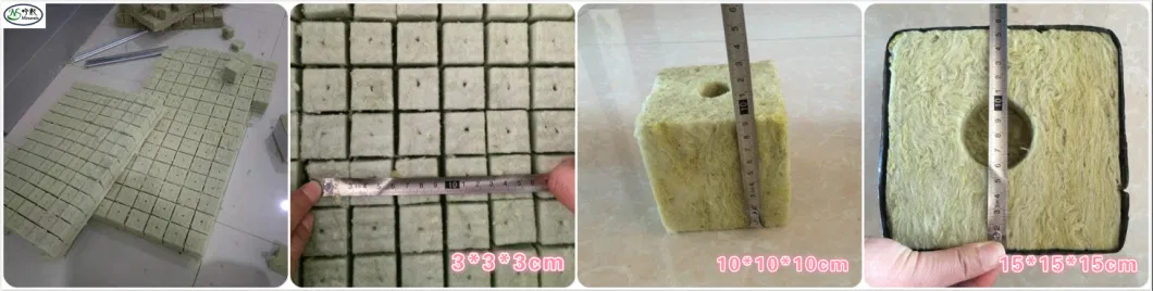 Best Hydroponic Grow Media 1inch Rockwool Grow Cubes for Seedlings