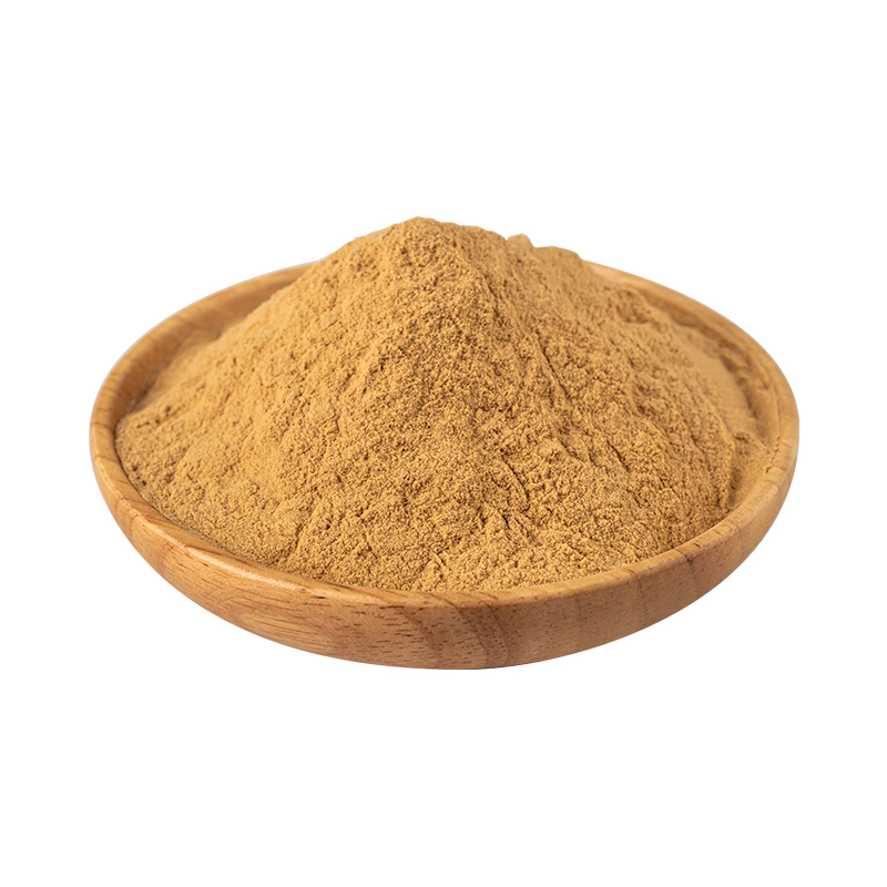 False Purslane Extract CAS: 90083-07-1/10: 1 Bacopa Monnieri Extract/50% Bacosides Pharmaceutica/Anti-Aging