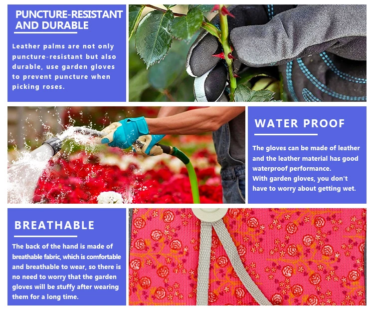 Thornproof Good Dexterity Rose Pruning Cacti Handling Thorn Proof Gardening Cactus Gloves