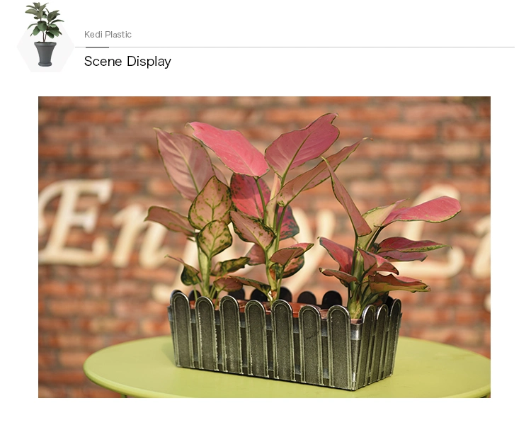 Desktop Fence Flower Pot for Succulents (KD1162-KD1163)