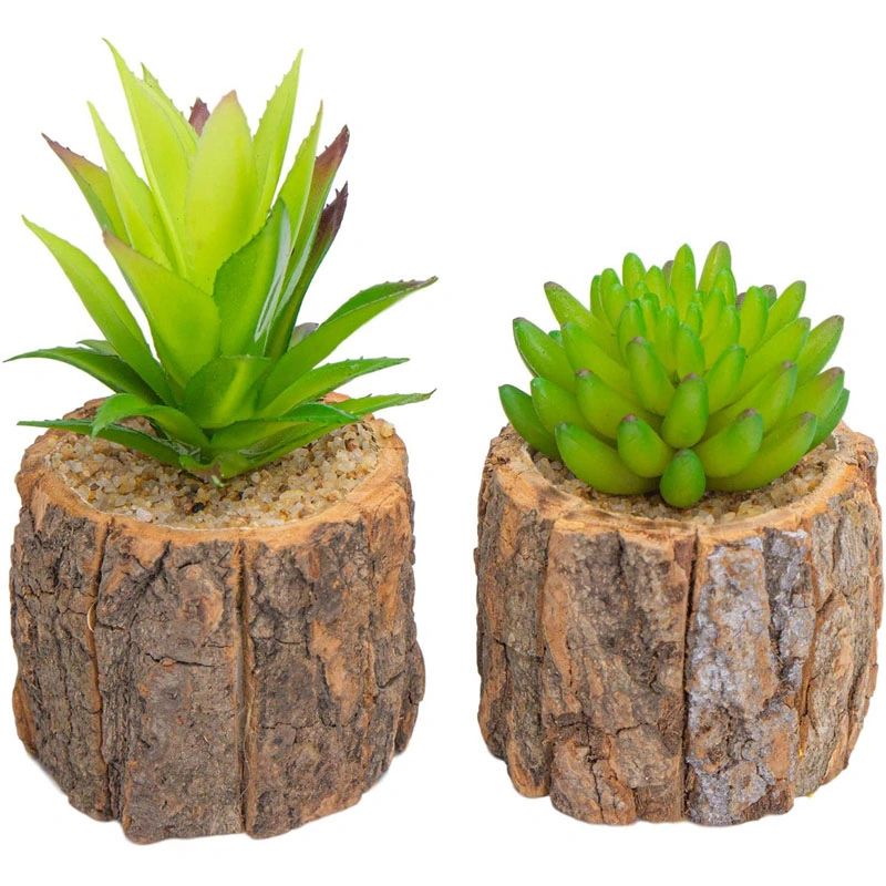 2 Pack Artificial Succulents Plants in Pots for Home Decor