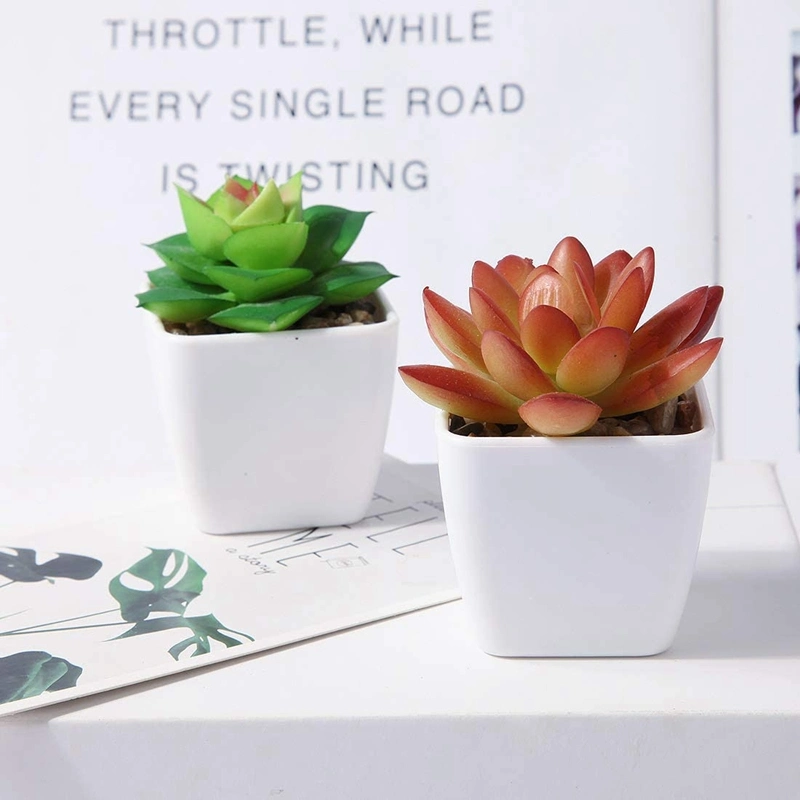 Artificial Succulent Plants, Set of 4 Small Fake Plants Mini Potted Succulent Plants with White Ceramic Pots