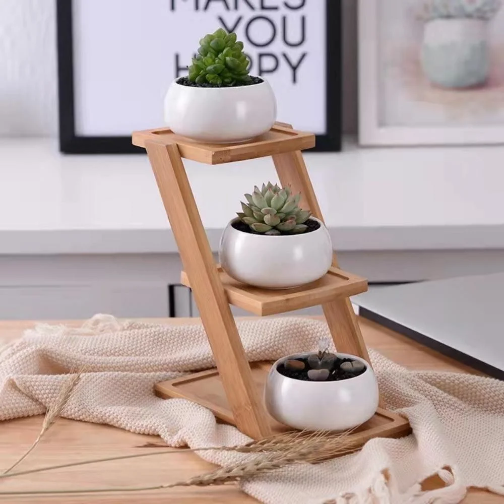 Succulent Plant Pot Cactus Planter Ceramic Pot with Bamboo Tray for Room Decoration Small Round White Ceramic Bl21943