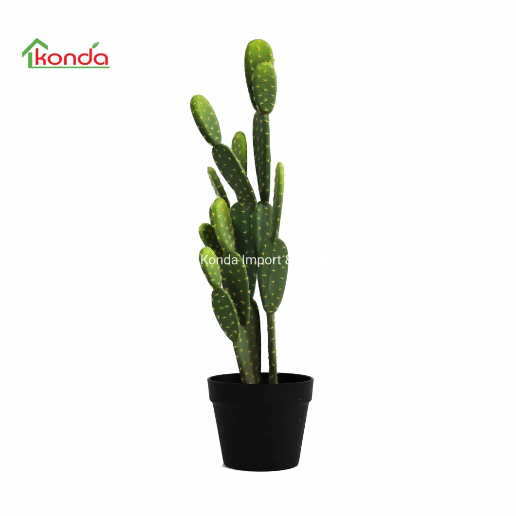 Home Decoration Real Touch Green Plants Potted Simulation Succulents Artificial Cactus