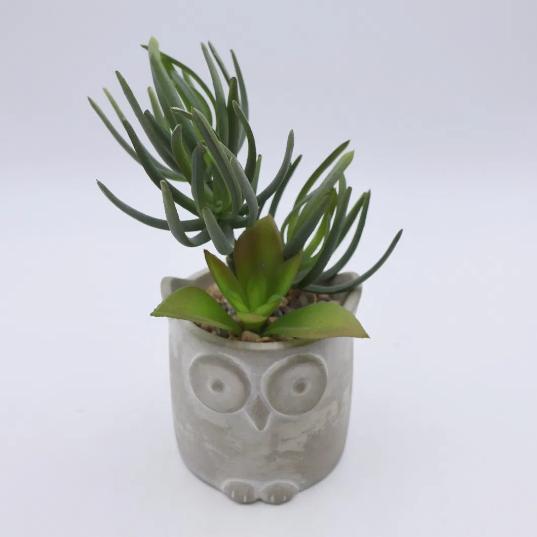 Artificial Succulent Plastic Succulent Plant Small Pot Office Desktop Ornamental Decoration