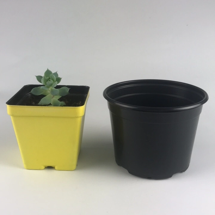 New Plastic Pots, Plastic Product 5&quot; Round Pot