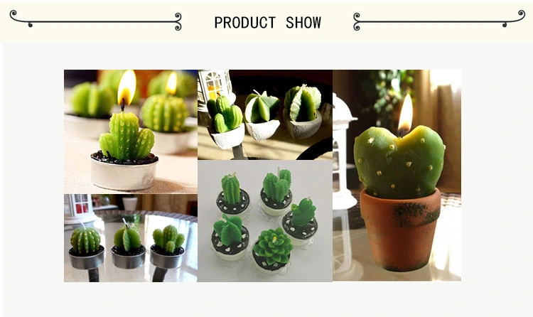 Succulent Cactus Tea Light Candles Unscented 6PCS Assorted for Birthday Party