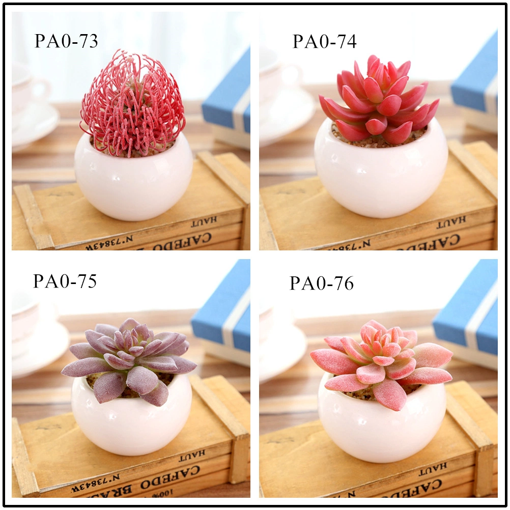 Mini Assorted Artificial Succulents Plants with Pots for Home Decor