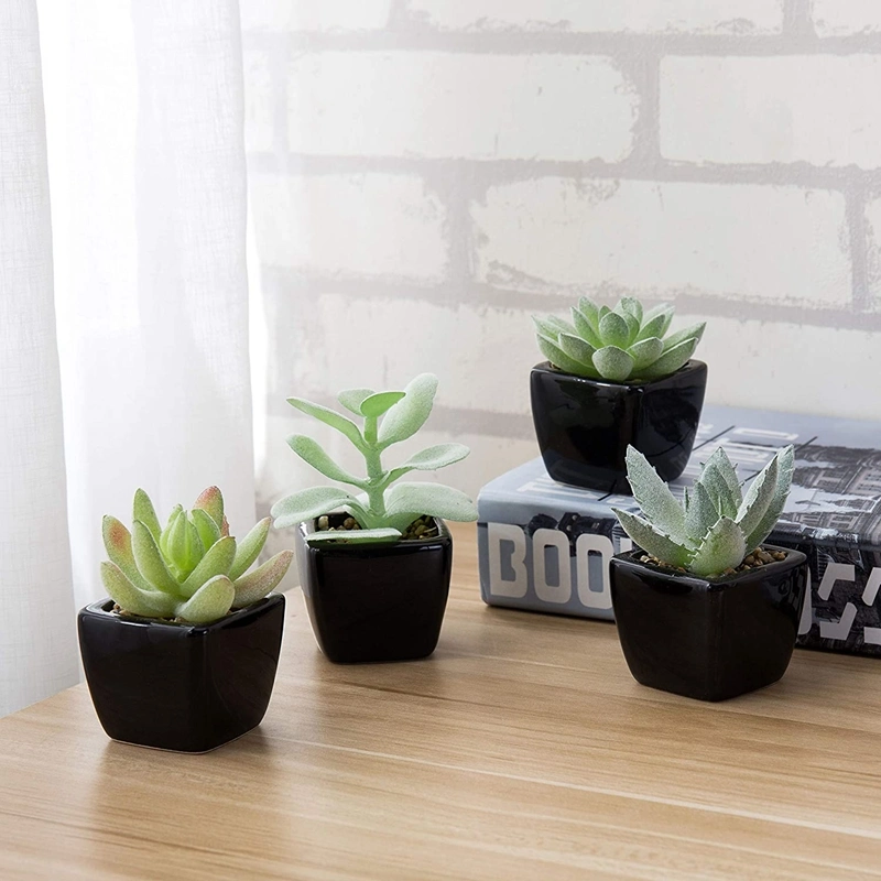 Assorted Lifelike Mini Artificial Succulent Plants in Black Cube Ceramic Pots, Set of 4