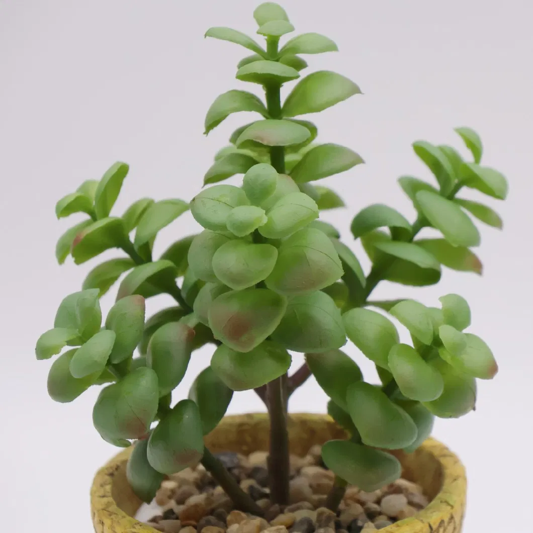 Wholesale Mini Artificial Plastic Succulent Plants Bonsai with Ceramic Planter Pots