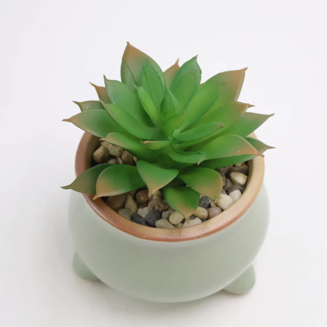 2023 New Design Artificial Plant Succulent with Ceramic Planter Pot