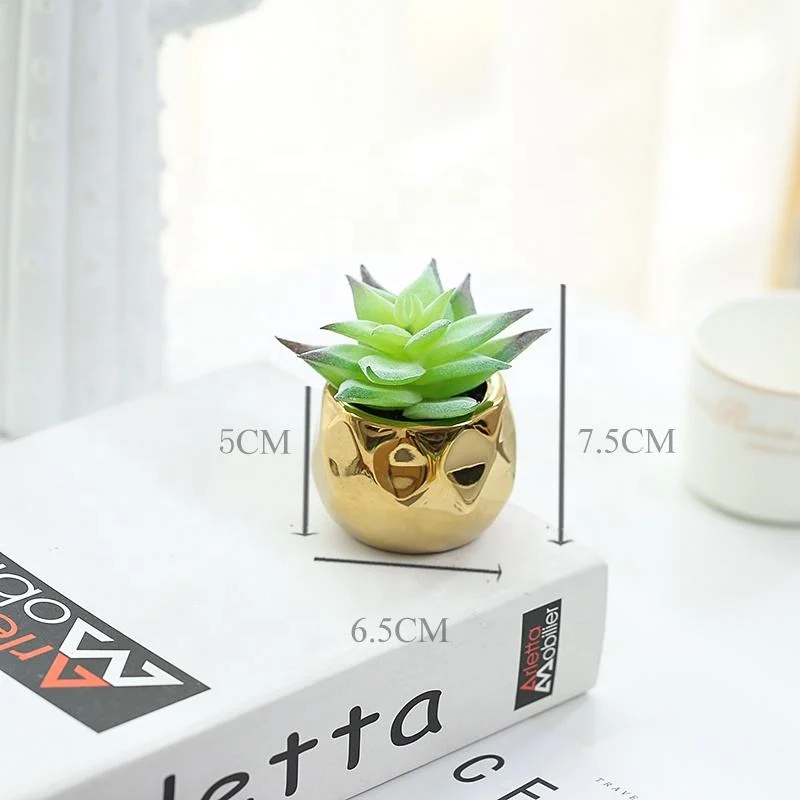 Face Succulent Plants Artificial for Party Decor Home Decoration