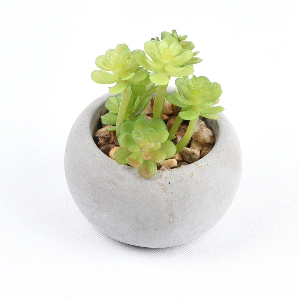 Artificial Succulent Plants in Cement Pots Realistic Faux Potted Plant Ci24797