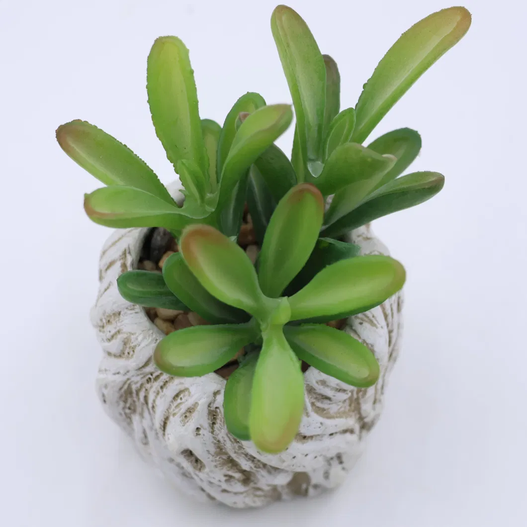 Real Touch Green Trees Potted Artificial Bonsai Small Succulents for Home Decor