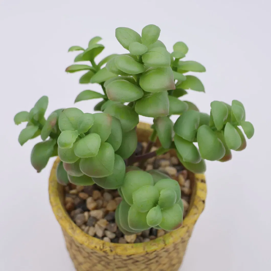 Wholesale Mini Artificial Plastic Succulent Plants Bonsai with Ceramic Planter Pots