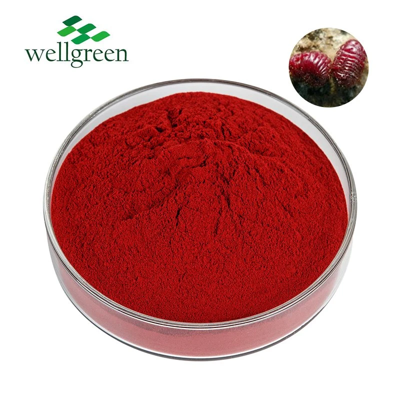 Natural Pigment Carmine Cochineal Powder CAS 1390-65-4